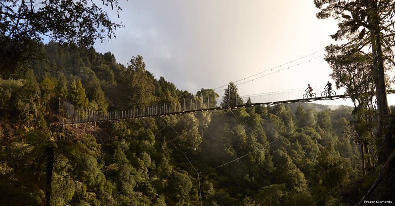 2504 img taupo region supervolcanic biking timber trail pueora forest park swing bridge people on bikes 1