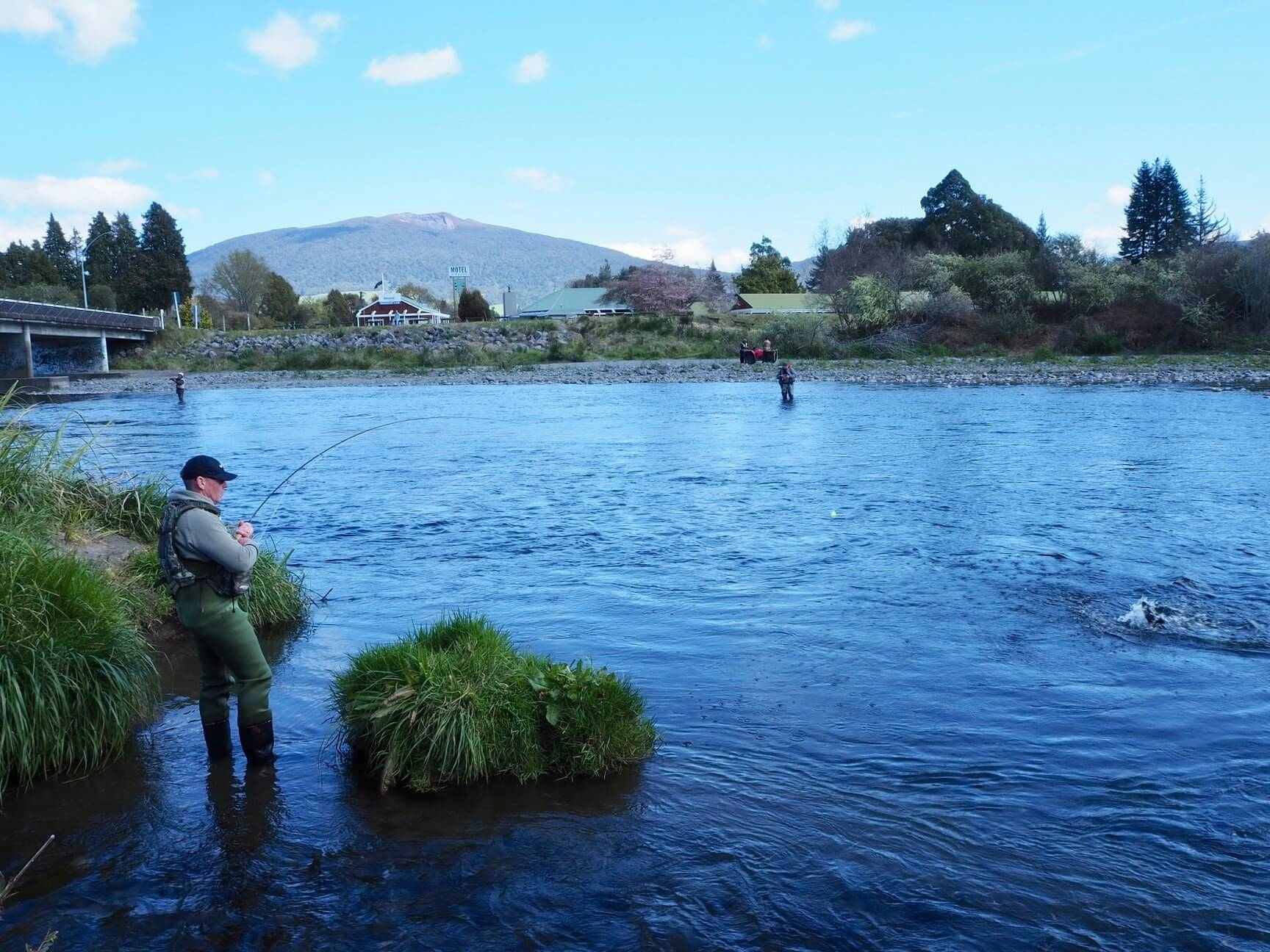 2504 img turangi tongariro river bridge fishing man with trout caught river side
